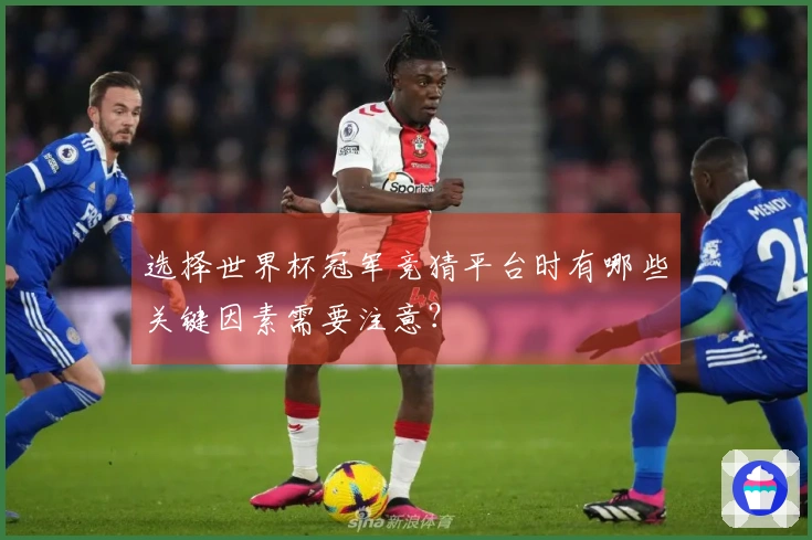 选择世界杯冠军竞猜平台时有哪些关键因素需要注意？