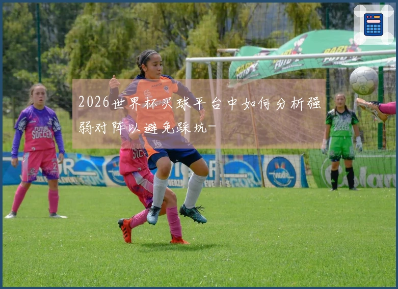 2026世界杯买球平台中如何分析强弱对阵以避免踩坑-